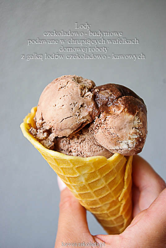 lody czekoladowo-budyniowe (5)kopia